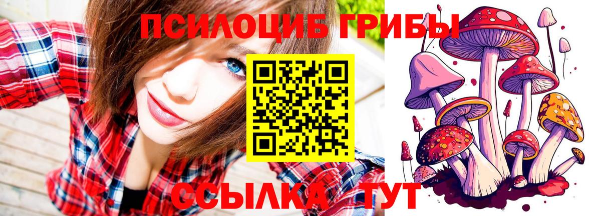 Псилоцибиновые грибы ЛСД Россия